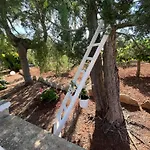 La Giopalma
