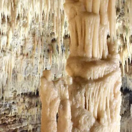 Affittacamere La Giopalma Monopoli