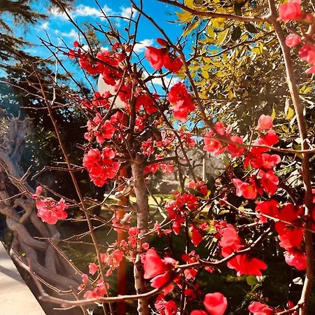 La Giopalma Monopoli