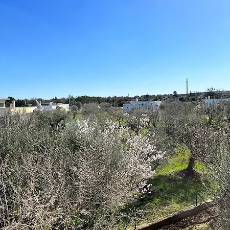 La Giopalma 4*
