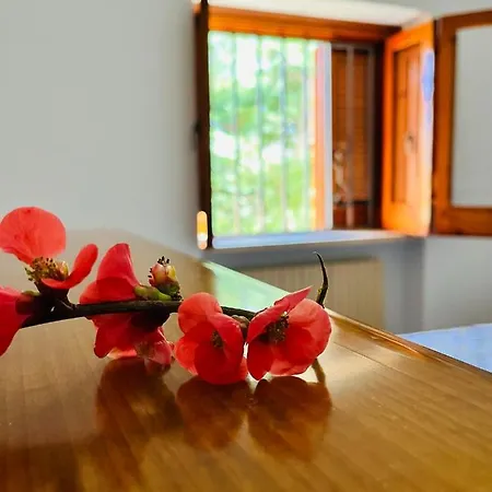 La Giopalma Konukevi