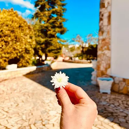 Konukevi La Giopalma 4*