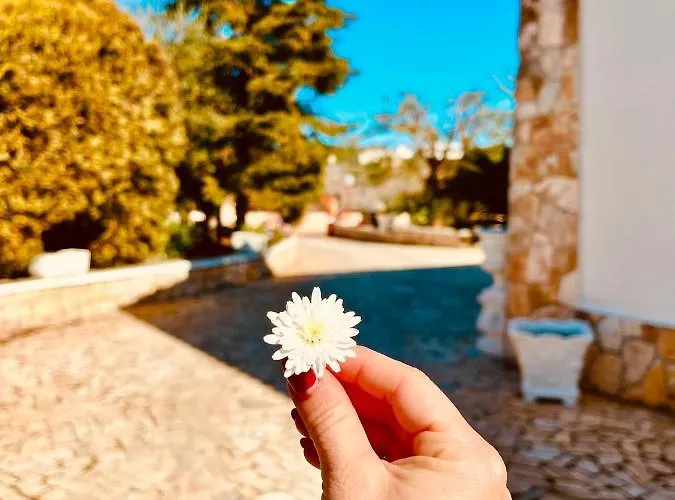 게스트하우스 La Giopalma 4*